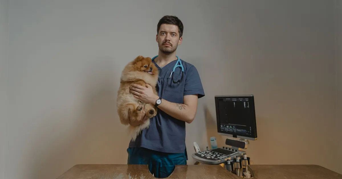 Veterinario sostiene a un perro Pomerania junto a un equipo de ecografía en una clínica