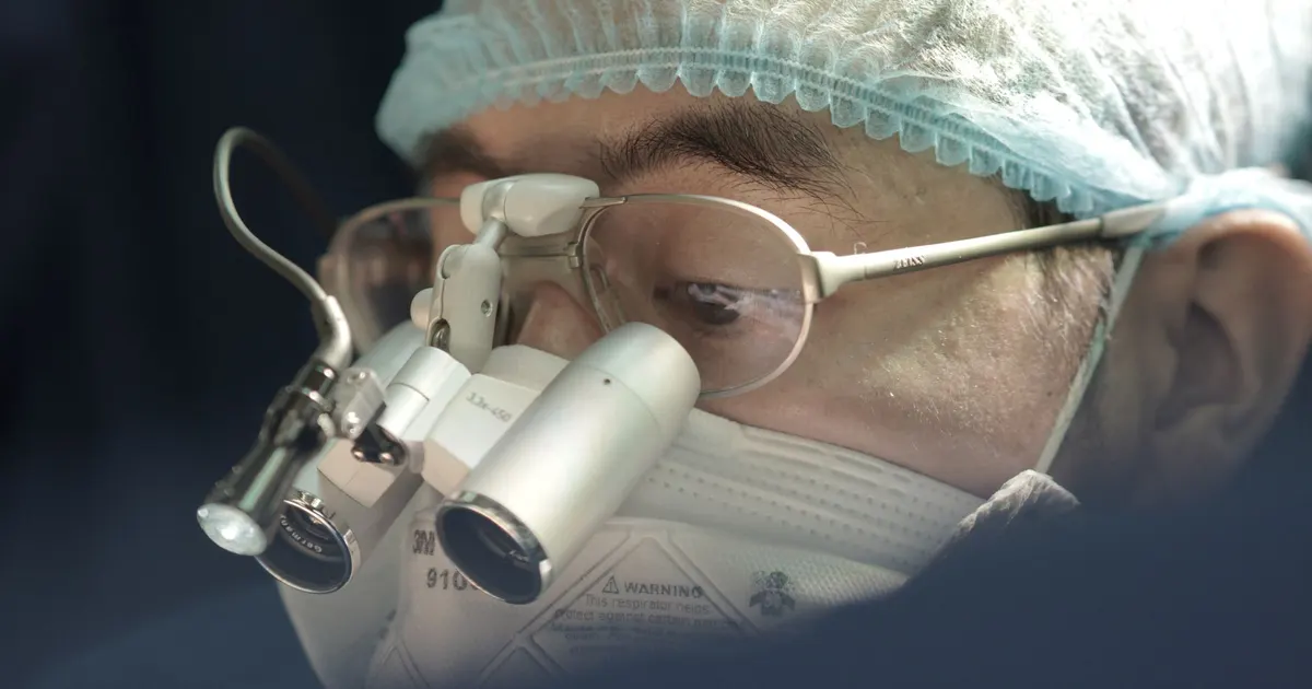 Cirujano veterinario observa una imagen óptica en pantalla durante una cirugía, ejemplo de biofotónica veterinaria