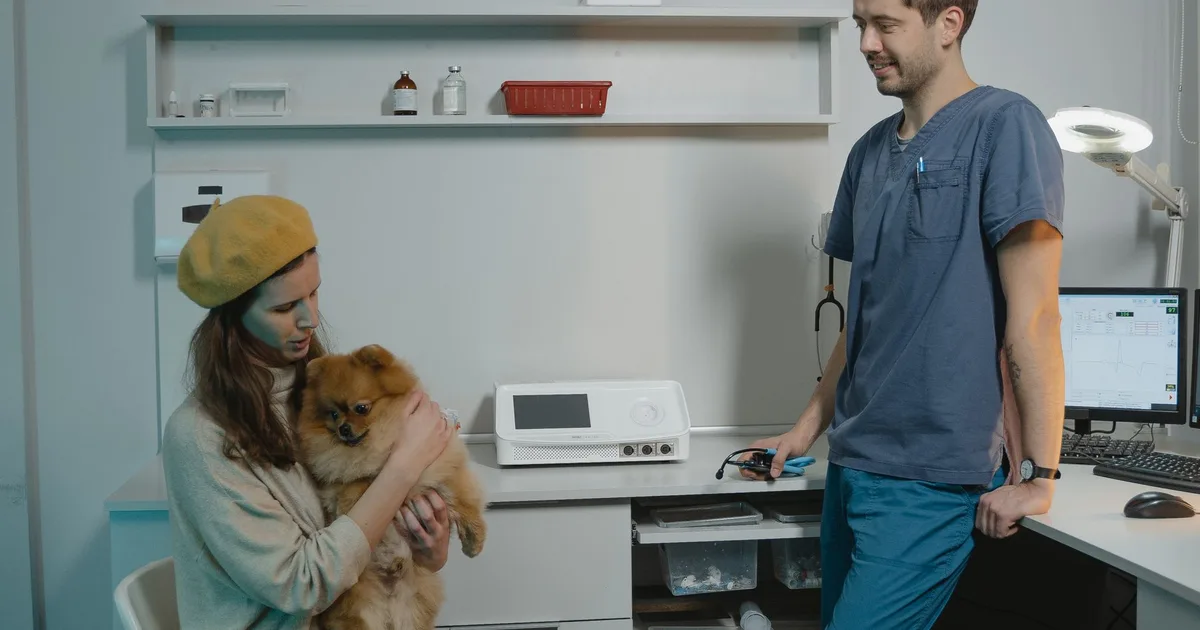 Veterinaria conversa con una tutora en la clínica mientras su perro Pomerania está junto a ellas