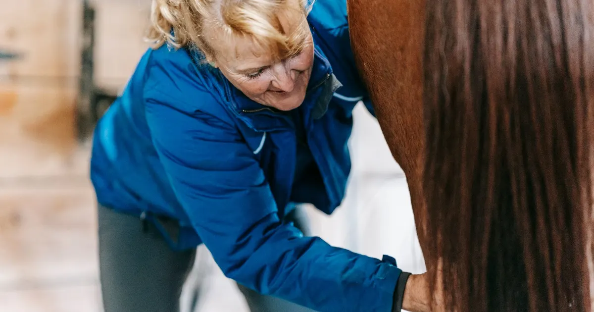 Mujer con chaqueta azul revisa con ambas manos el cuerpo de un caballo dentro de un box