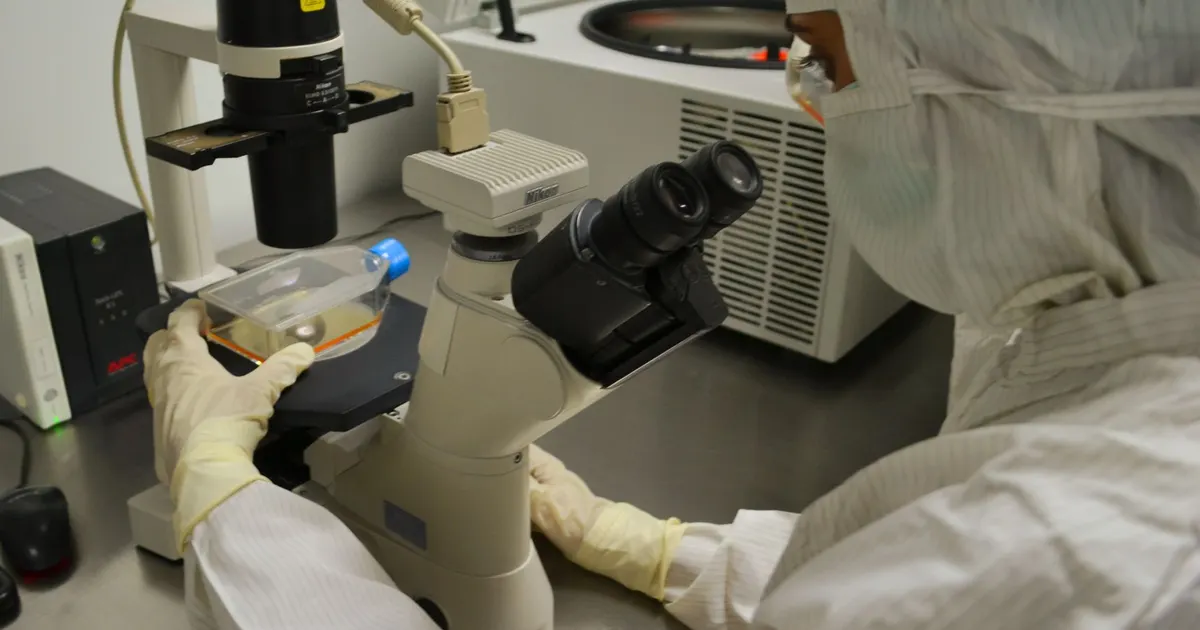 Profesional de salud examinando una muestra en un ambiente de laboratorio clínico