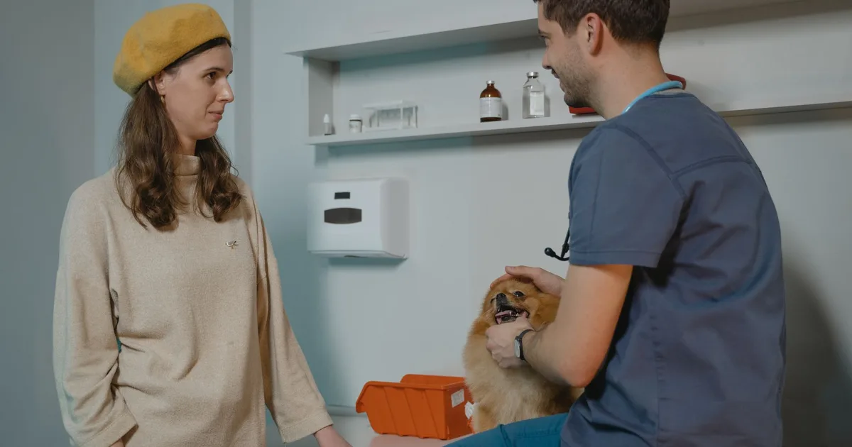 Veterinario conversa con la dueña de un perro Pomerania mientras lo sostiene en la clínica