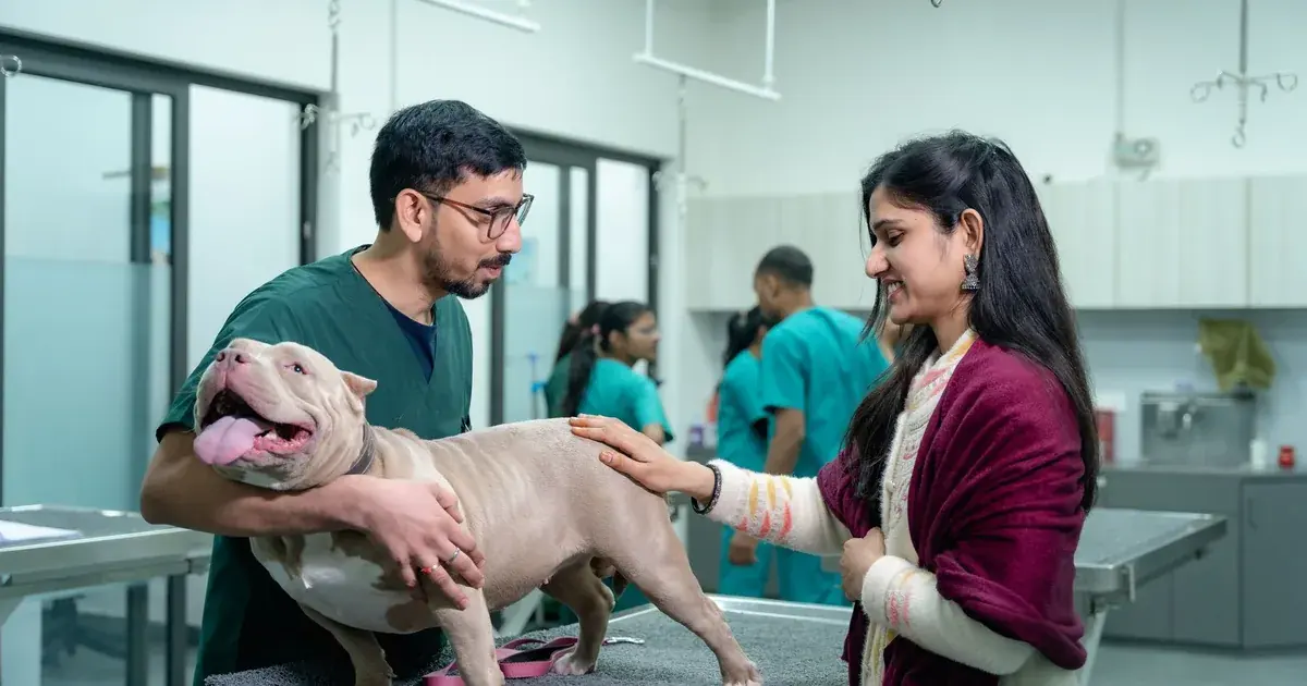 Un veterinario examina a un perro junto a su dueño en una clínica veterinaria