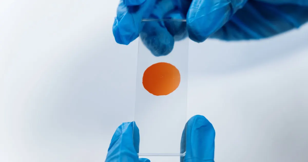 Manos con guantes sosteniendo un portaobjetos de microscopio con una muestra en un laboratorio