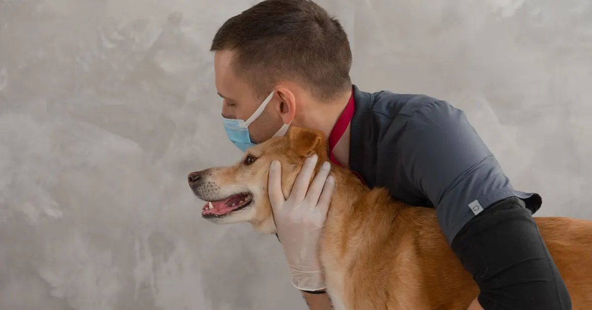 Veterinaria abraza con cariño a un perro contento durante un control de rutina en la clínica